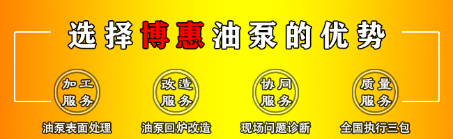 RCB系列不銹鋼齒輪保溫泵(圖3)